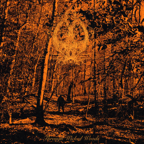 Wychwood : Through Wicked Woods